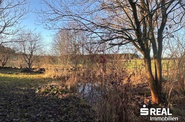 Haus kaufen in 4262 Dorf Leopoldschlag (Bild 2)