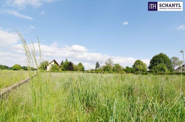 Grundstück kaufen in 8430 Leibnitz (Bild 5)