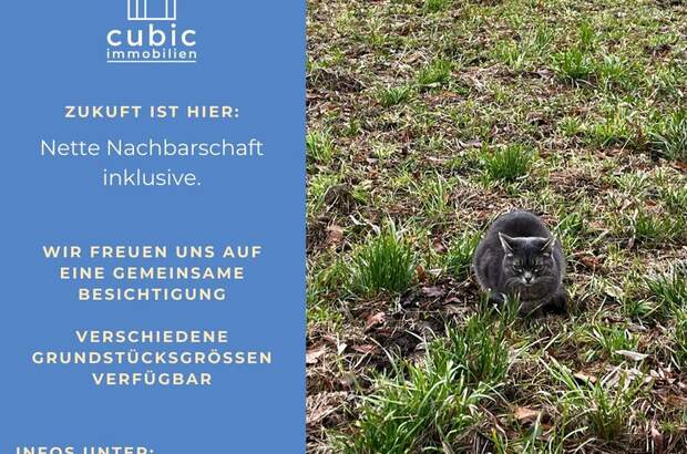 Grundstück kaufen in 5120 Sankt Pantaleon (Bild 5)