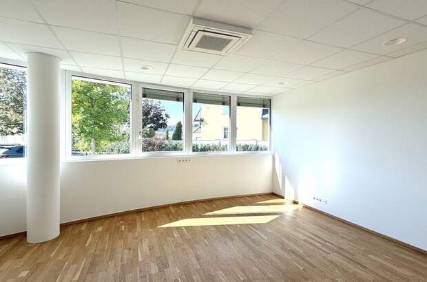Gewerbeobjekt mieten in 8430 Leibnitz (Bild 4)