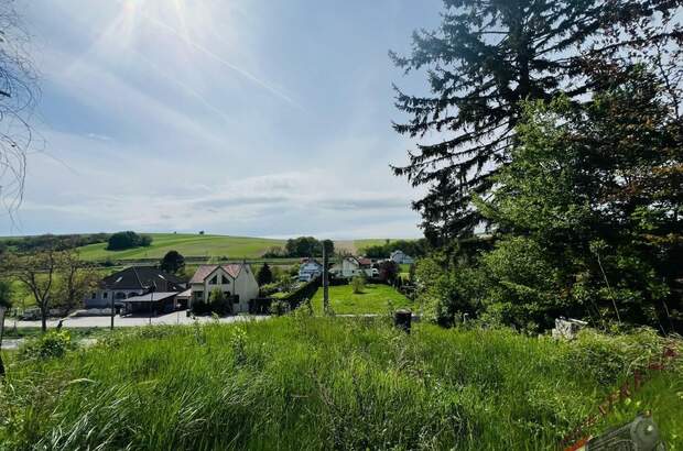 Grundstück kaufen in 2123 Hautzendorf (Bild 1)