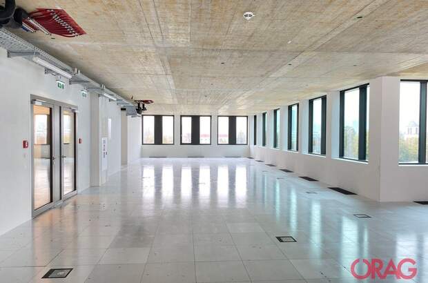 Gewerbeobjekt mieten in 4020 Linz (Bild 1)