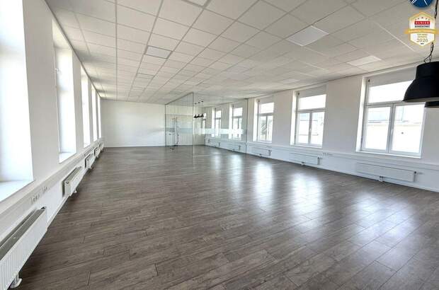 Gewerbeobjekt mieten in 3500 Krems (Bild 1)