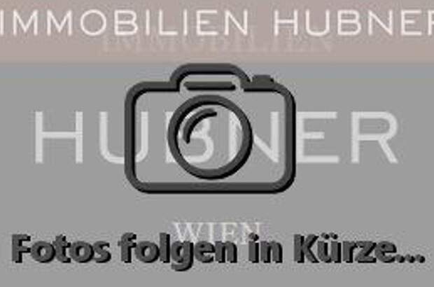 Gewerbeobjekt mieten in 1010 Wien (Bild 3)