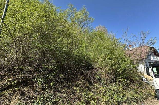 Grundstück kaufen in 7203 Wiesen (Bild 2)