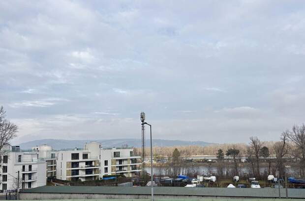 Wohnung mieten in 1190 Wien (Bild 2)