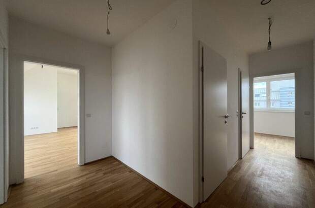 Terrassenwohnung kaufen in 1100 Wien (Bild 5)