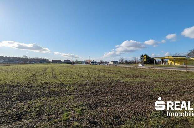 Grundstück kaufen in 4614 Marchtrenk (Bild 2)