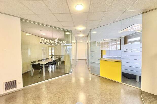 Gewerbeobjekt mieten in 4600 Wels (Bild 3)