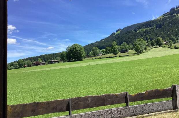 Grundstück kaufen in 6363 Westendorf (Bild 3)