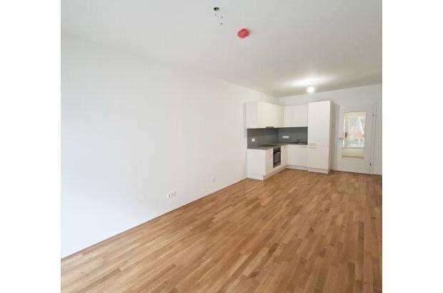 Terrassenwohnung mieten in 8010 Graz (Bild 4)