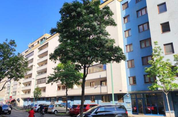 Terrassenwohnung kaufen in 1200 Wien (Bild 1)