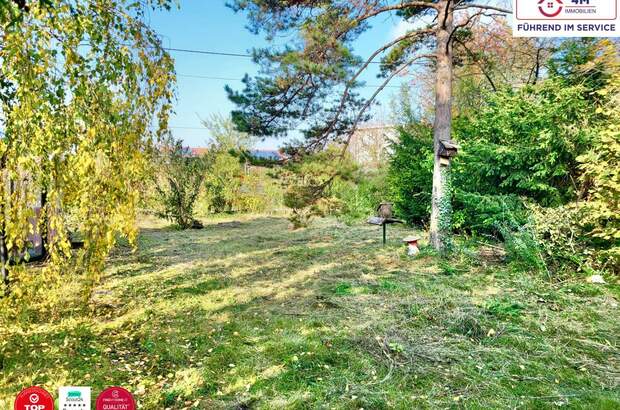 Grundstück kaufen in 1220 Wien (Bild 5)