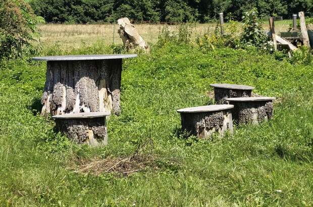 Mehrfamilienhaus kaufen in 9232 Rosegg (Bild 3)