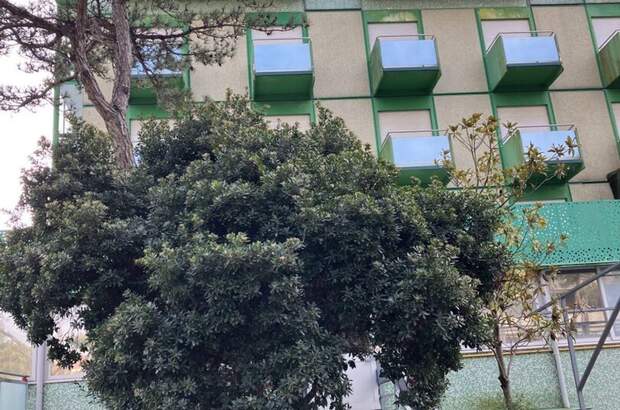 Gewerbeobjekt kaufen in 33054 Lignano Pineta (Bild 1)