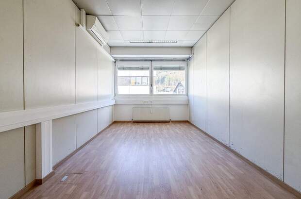 Gewerbeobjekt mieten in 5300 Hallwang (Bild 4)