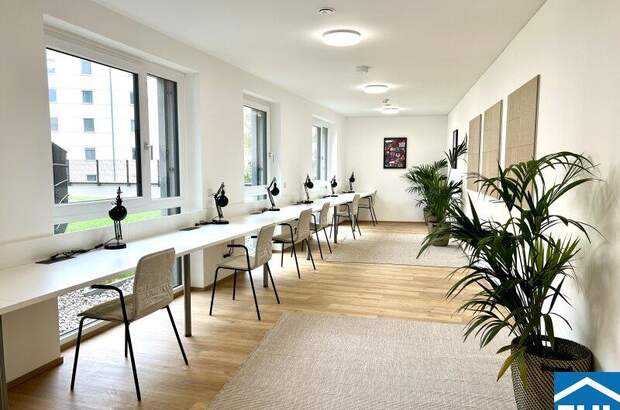 Terrassenwohnung mieten in 4020 Linz (Bild 2)