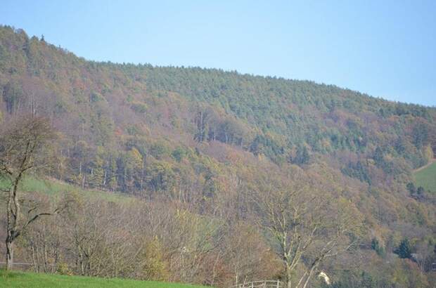 Grundstück kaufen in 8045 Graz (Bild 1)