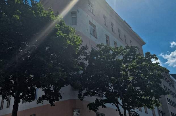 Altbauwohnung kaufen in 1200 Wien (Bild 2)