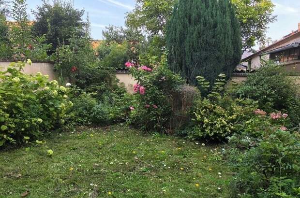 Haus mit Garten mieten in 3730 Eggenburg (Bild 5)