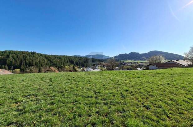 Grundstück kaufen in 9560 Feldkirchen (Bild 5)