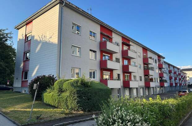 Halle / Lager / Produktion kaufen in 4040 Linz
