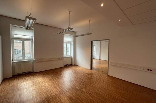 Gewerbeobjekt mieten in 1190 Wien (Bild 3)