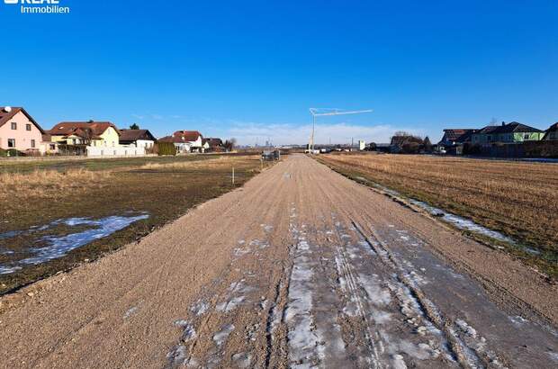 Grundstück kaufen in 2332 Hennersdorf (Bild 2)