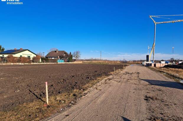 Grundstück kaufen in 2332 Hennersdorf (Bild 3)