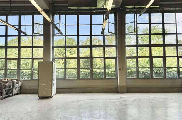 Gewerbeobjekt mieten in 1230 Wien (Bild 4)