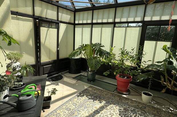 Haus kaufen in 7202 Bad Sauerbrunn (Bild 5)