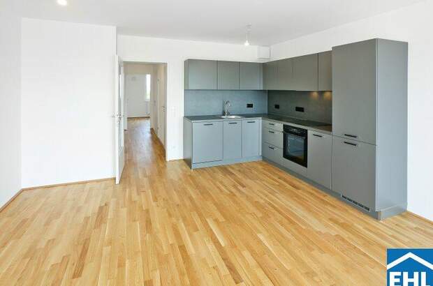 Terrassenwohnung mieten in 1220 Wien (Bild 3)