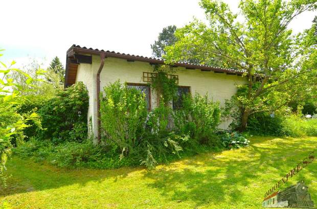 Einfamilienhaus kaufen in 2721 Bad Fischau (Bild 3)