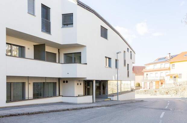 Gewerbeobjekt mieten in 3500 Krems (Bild 3)