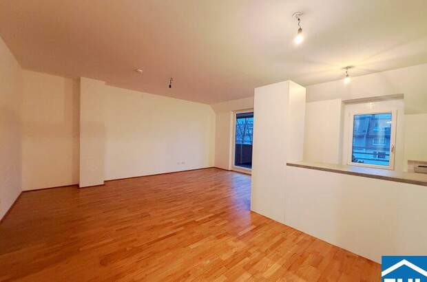 Terrassenwohnung mieten in 1030 Wien (Bild 1)