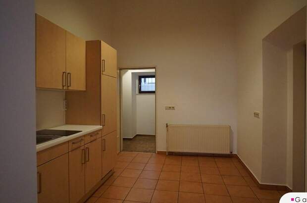 Altbauwohnung mieten in 1080 Wien (Bild 3)