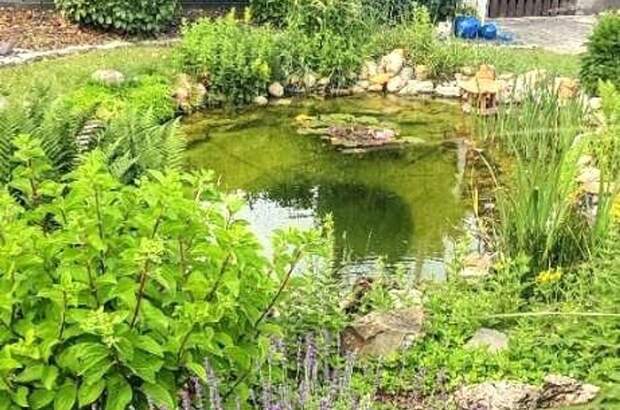 Haus kaufen in 2103 Langenzersdorf (Bild 3)