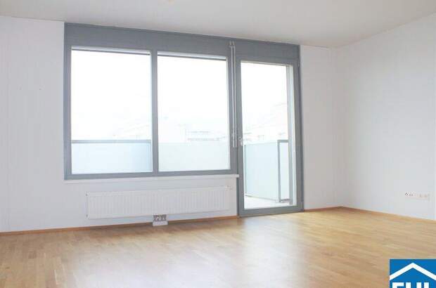 Terrassenwohnung mieten in 1110 Wien (Bild 1)