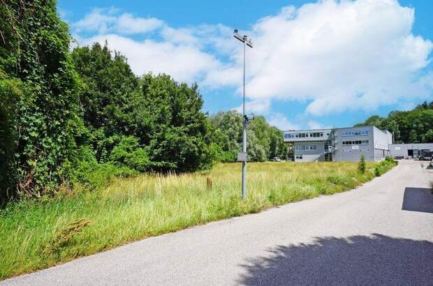 Grundstück kaufen in 3013 Pressbaum (Bild 3)