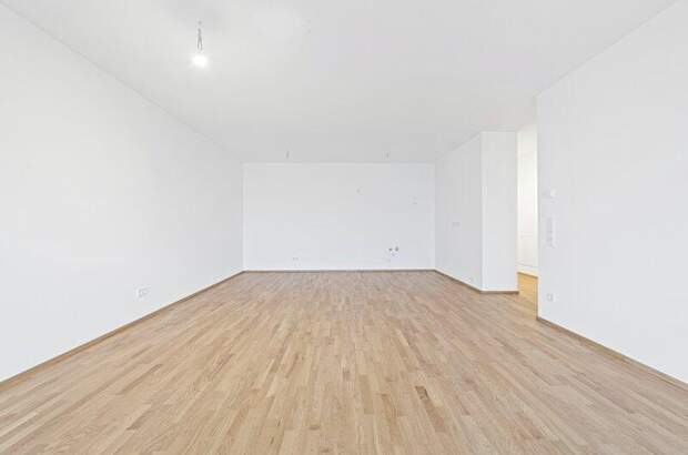 Terrassenwohnung kaufen in 2700 Wr. Neustadt (Bild 5)