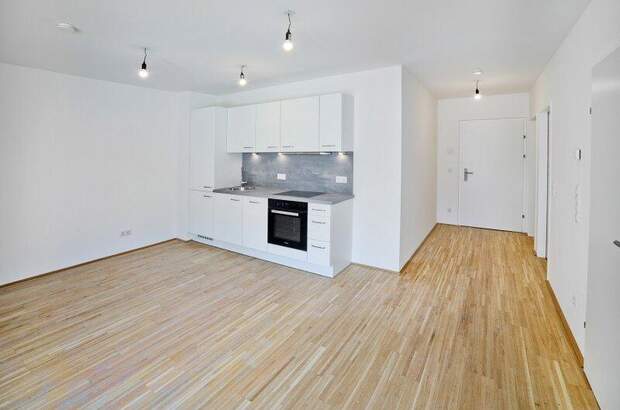 Terrassenwohnung mieten in 1220 Wien (Bild 1)