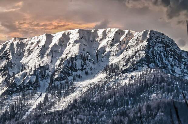 Grundstück kaufen in 9184 St. Jakob (Bild 2)