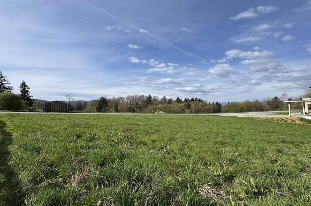 Grundstück kaufen in 8452 Großklein (Bild 2)