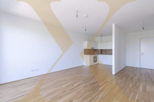 Terrassenwohnung mieten in 4020 Linz (Bild 1)