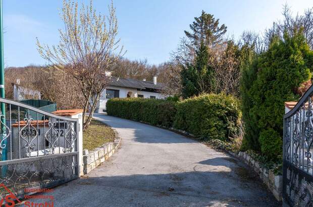 Haus mit Garten kaufen in 2451 Hof (Bild 4)