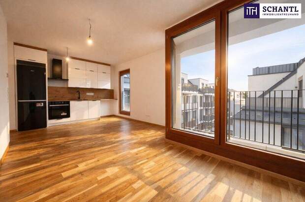 Terrassenwohnung mieten in 1230 Wien (Bild 2)