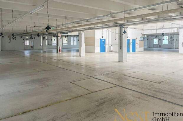 Lager mieten in 4052 Ansfelden (Bild 2)