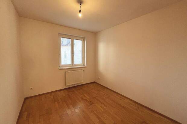 Terrassenwohnung mieten in 3140 Pottenbrunn (Bild 4)