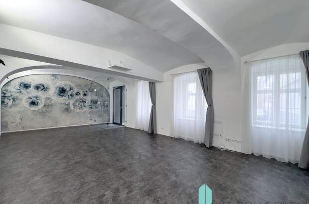 Gewerbeobjekt mieten in 1060 Wien (Bild 2)