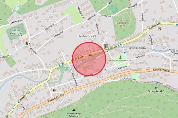 Immobilie kaufen in 2371 Hinterbrühl (Bild 2)